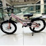 ველოსიპედი / ველოსიპედები Fdlong - Image 12