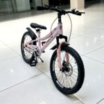 ველოსიპედი / ველოსიპედები Fdlong - Image 10