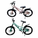 ველოსიპედი / ველოსიპედები Fdlong